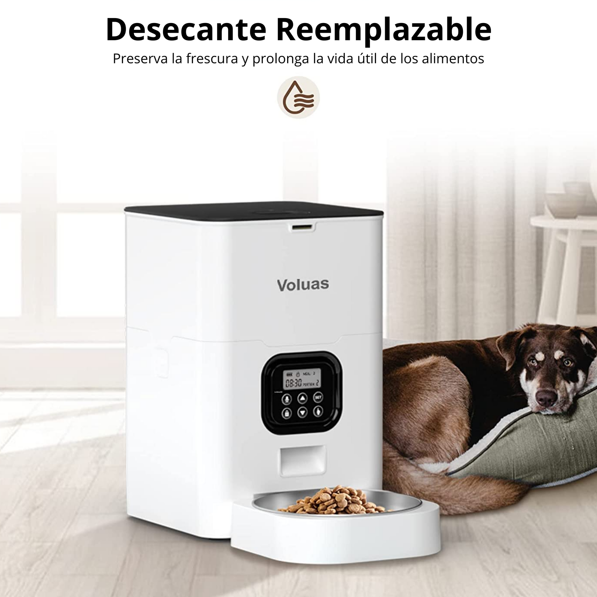 Comederos Automáticos para Gatos y Perros