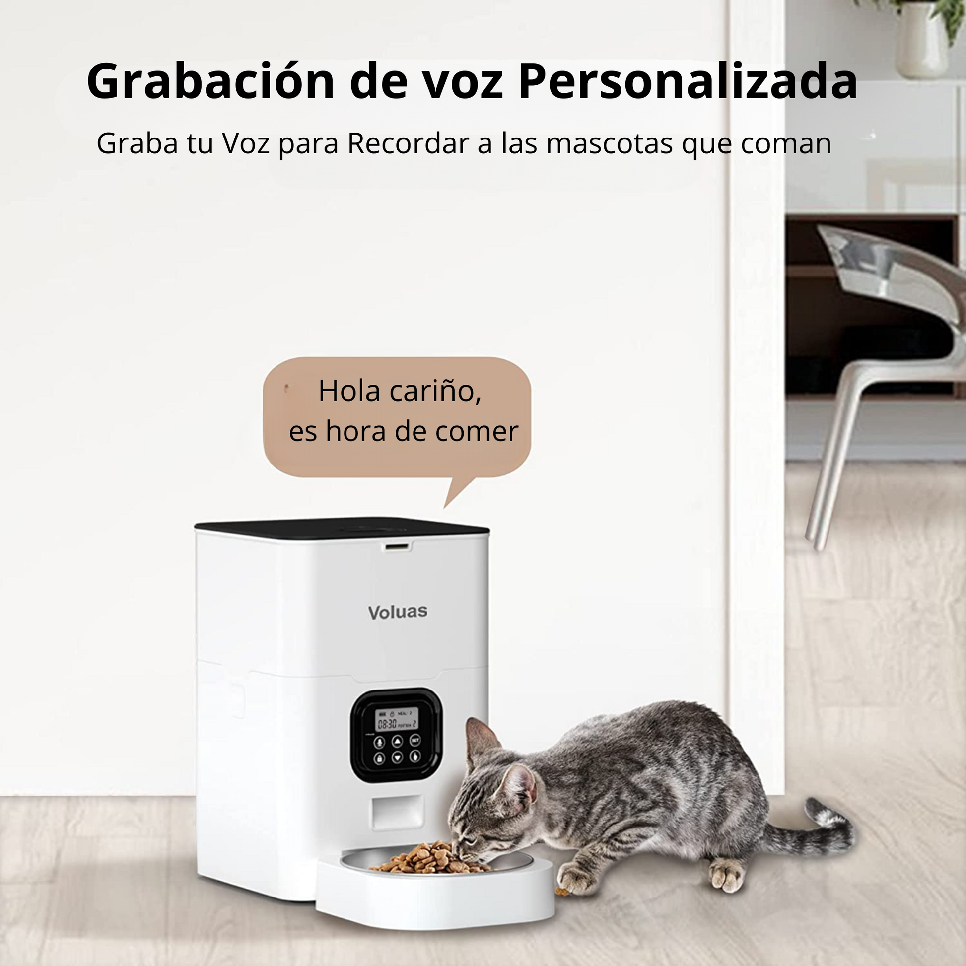 Comederos Automáticos para Gatos y Perros