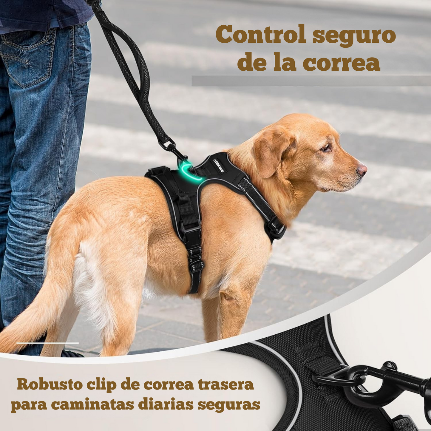 Arnés para perros Anti tirones con 2 clips de correa