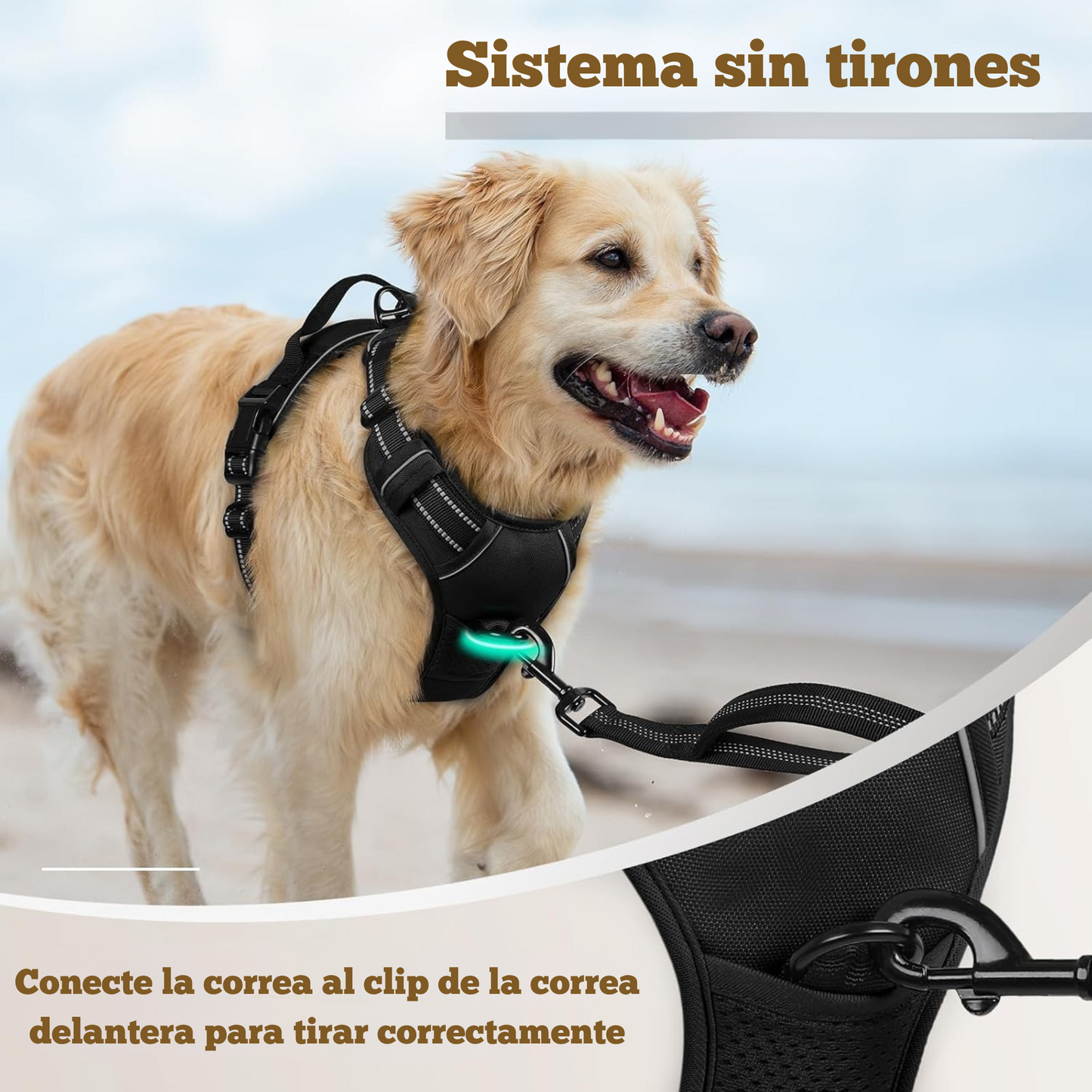 Arnés para perros Anti tirones con 2 clips de correa